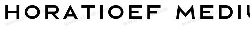 HoratioEF Medium字体转换 HoratioEF Medium字体转换